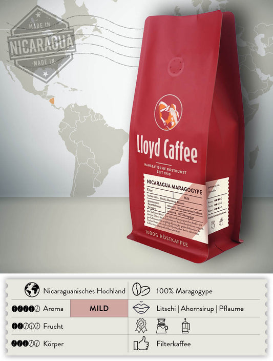 Nicaragua Maragogype